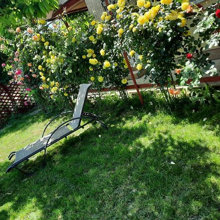 Casa De Vacanta Alexoiu Două Mai 외부 사진