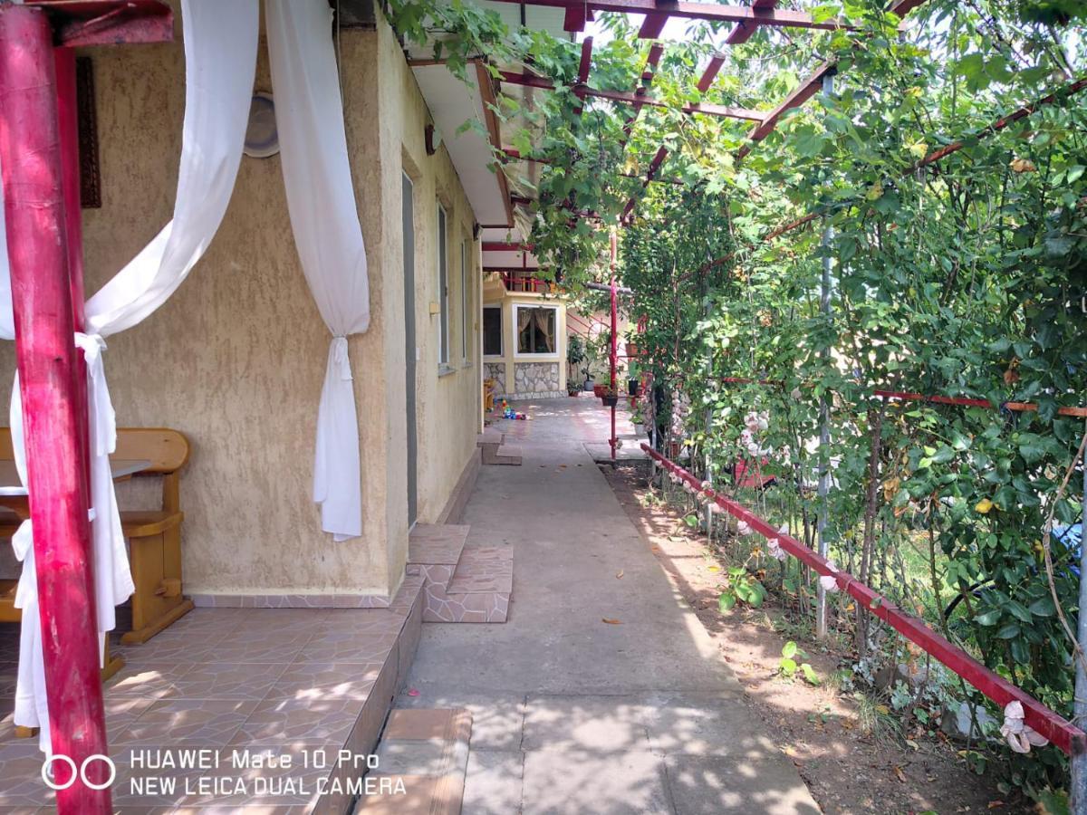 Casa De Vacanta Alexoiu Două Mai 외부 사진