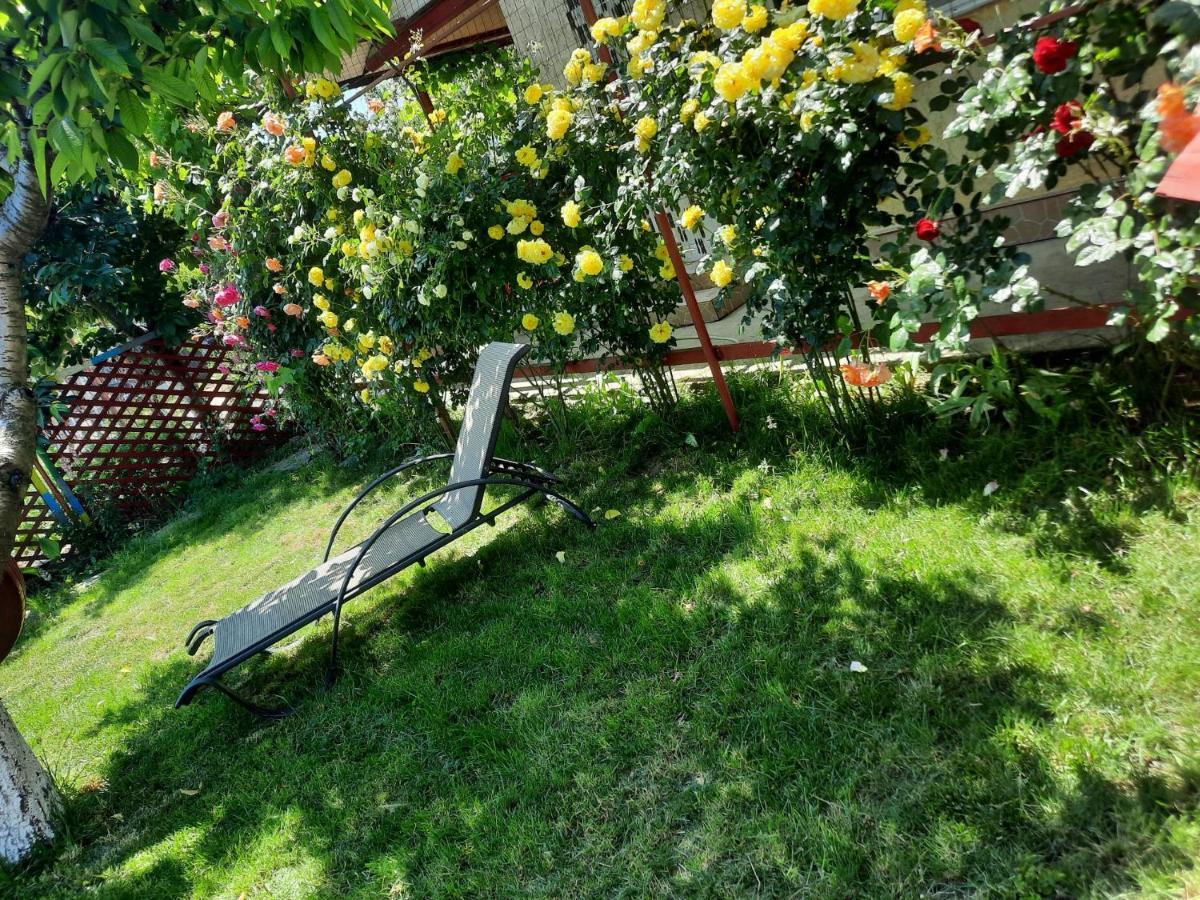 Casa De Vacanta Alexoiu Două Mai 외부 사진